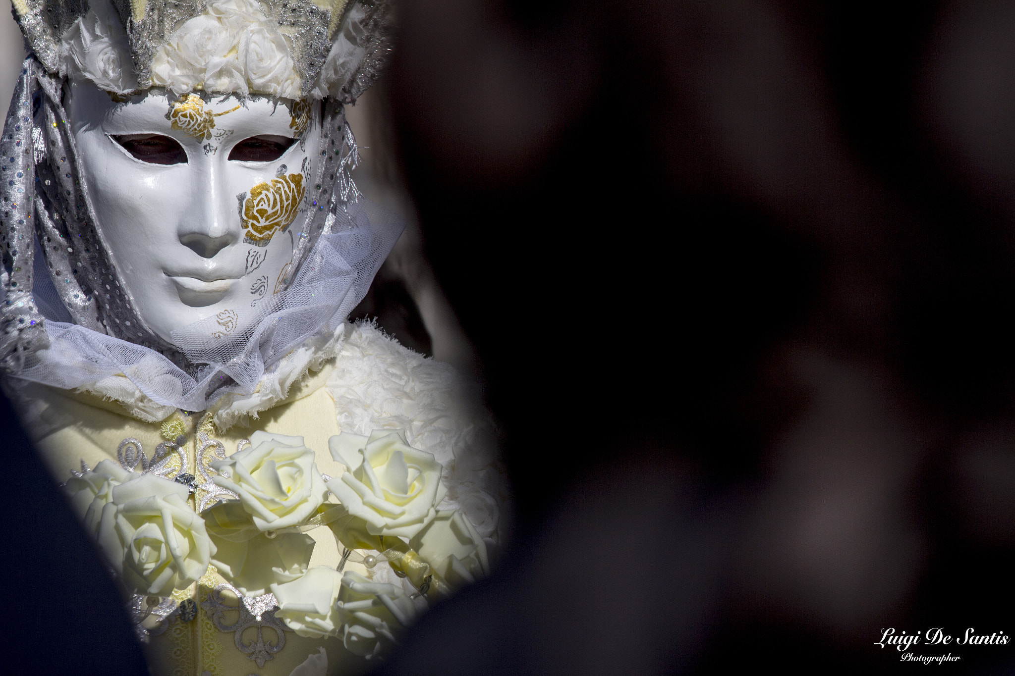 Canon EF 70-300mm F4-5.6 IS USM sample photo. Venezia's carnival photography