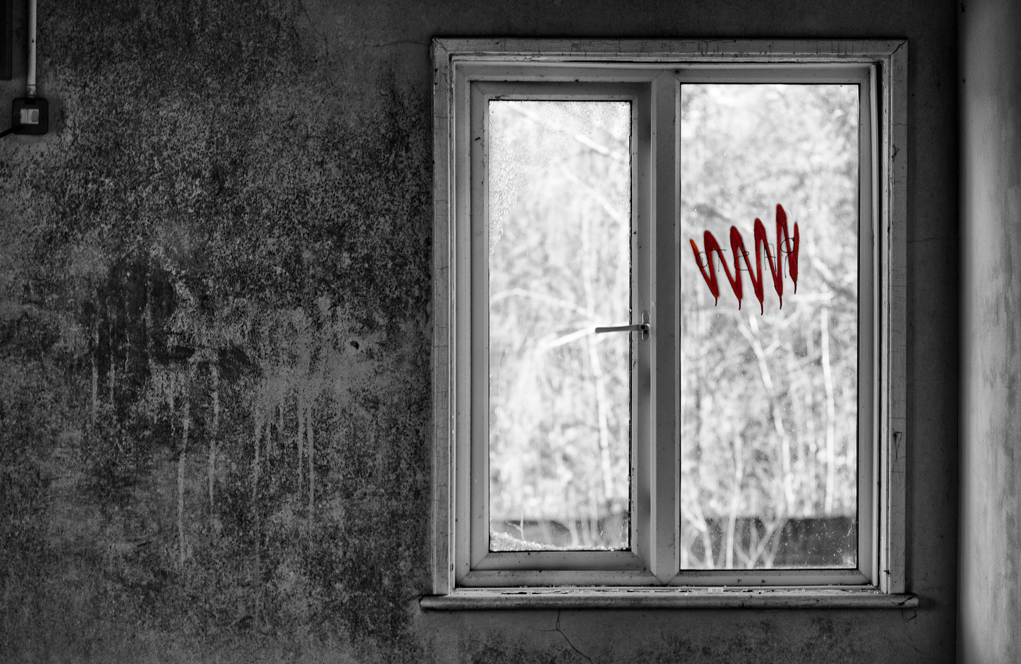 Canon EOS 500D (EOS Rebel T1i / EOS Kiss X3) + Canon EF 70-200mm F4L USM sample photo. The dark window photography
