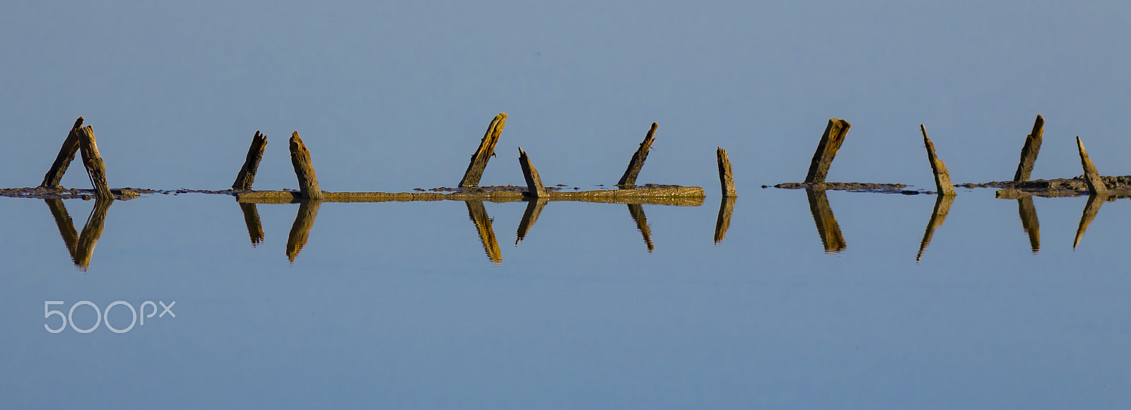 Canon EF 300mm F4L IS USM sample photo. Parenthesis photography