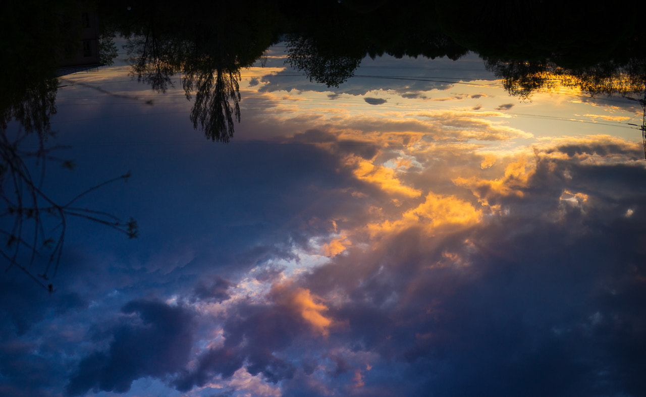 Sony Planar T* 50mm F1.4 ZA SSM sample photo. Nature photography