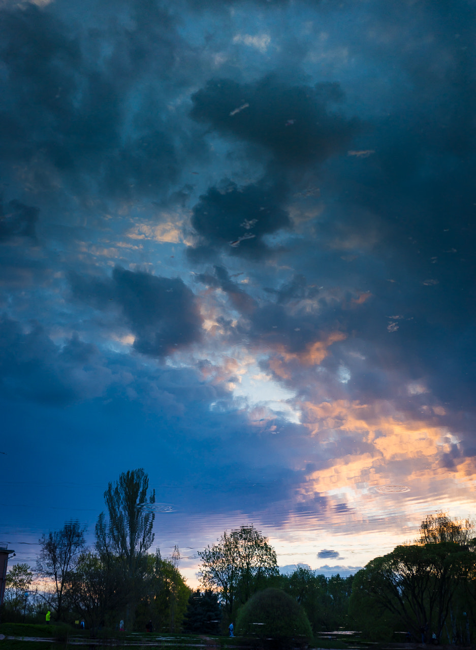 Sony Alpha a99 sample photo. Nature photography