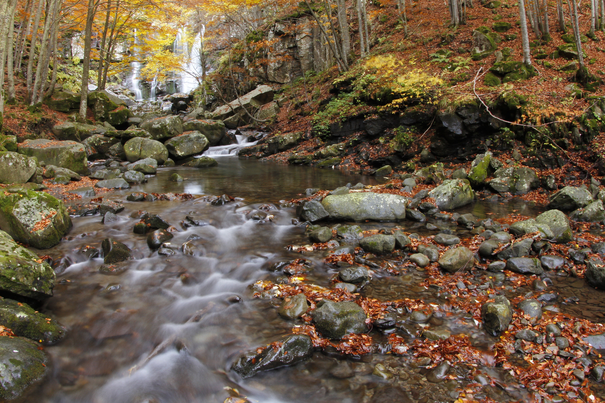 Canon EOS 7D sample photo. Dardagna falls in autumn photography