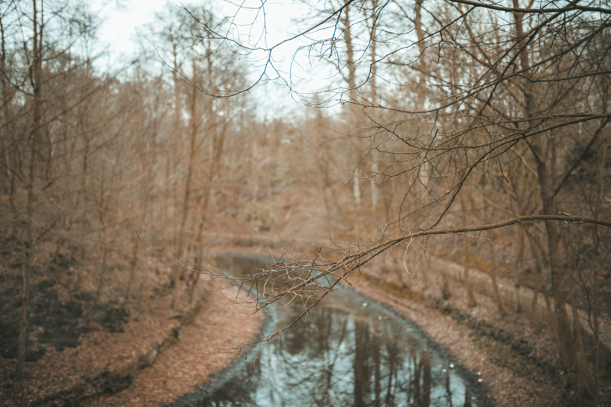 Sigma 35mm F1.4 DG HSM Art sample photo. Park heyzel photography