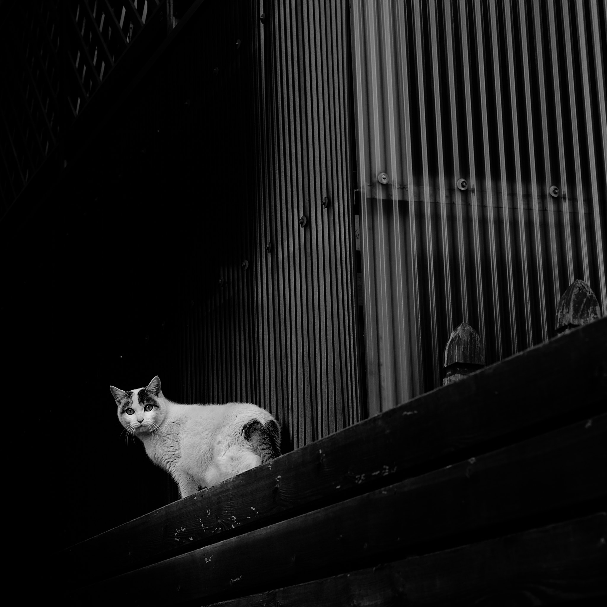 Fujifilm X-E2 + Fujifilm XF 35mm F2 R WR sample photo. Edit photography