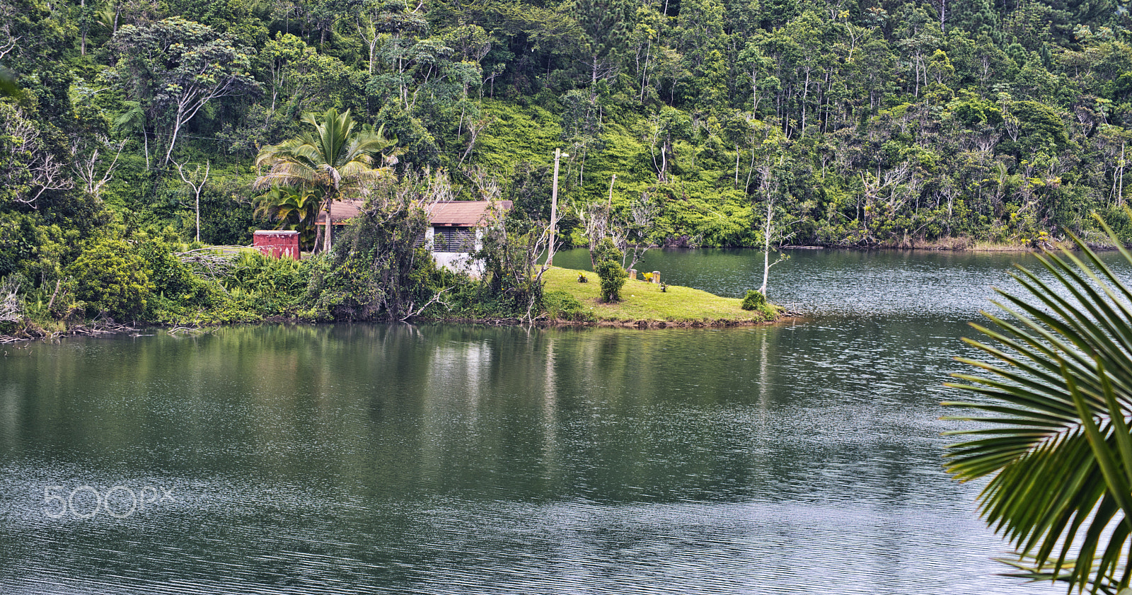 AF Zoom-Nikkor 75-300mm f/4.5-5.6 sample photo. Lago carite, puerto rico photography