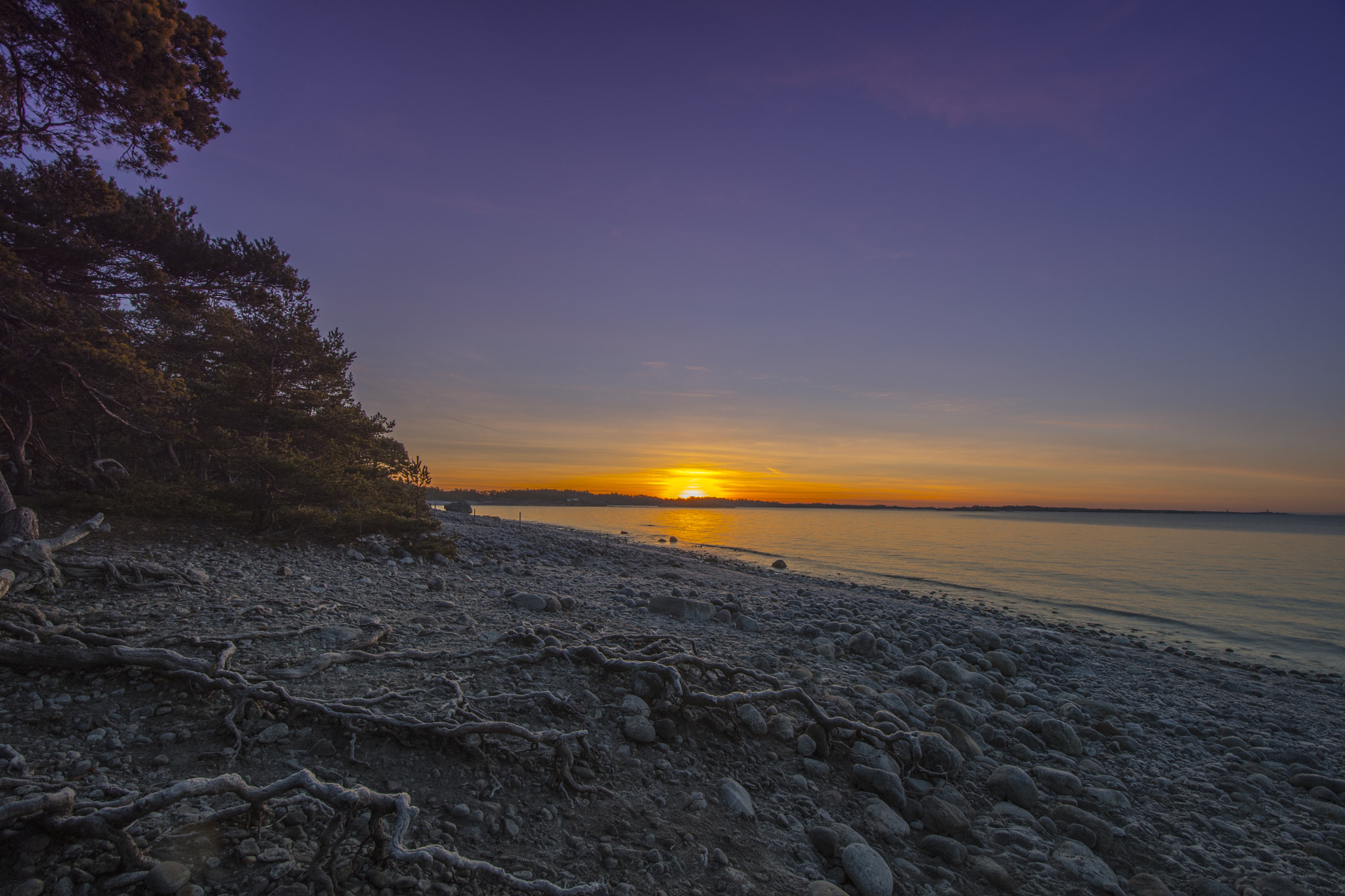 Nikon D500 sample photo. 32928019006.jpg photography