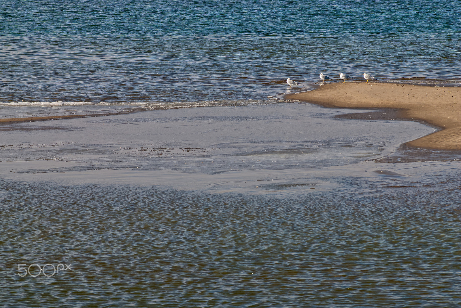 AF Zoom-Nikkor 80-200mm f/2.8 ED sample photo. Trapped photography