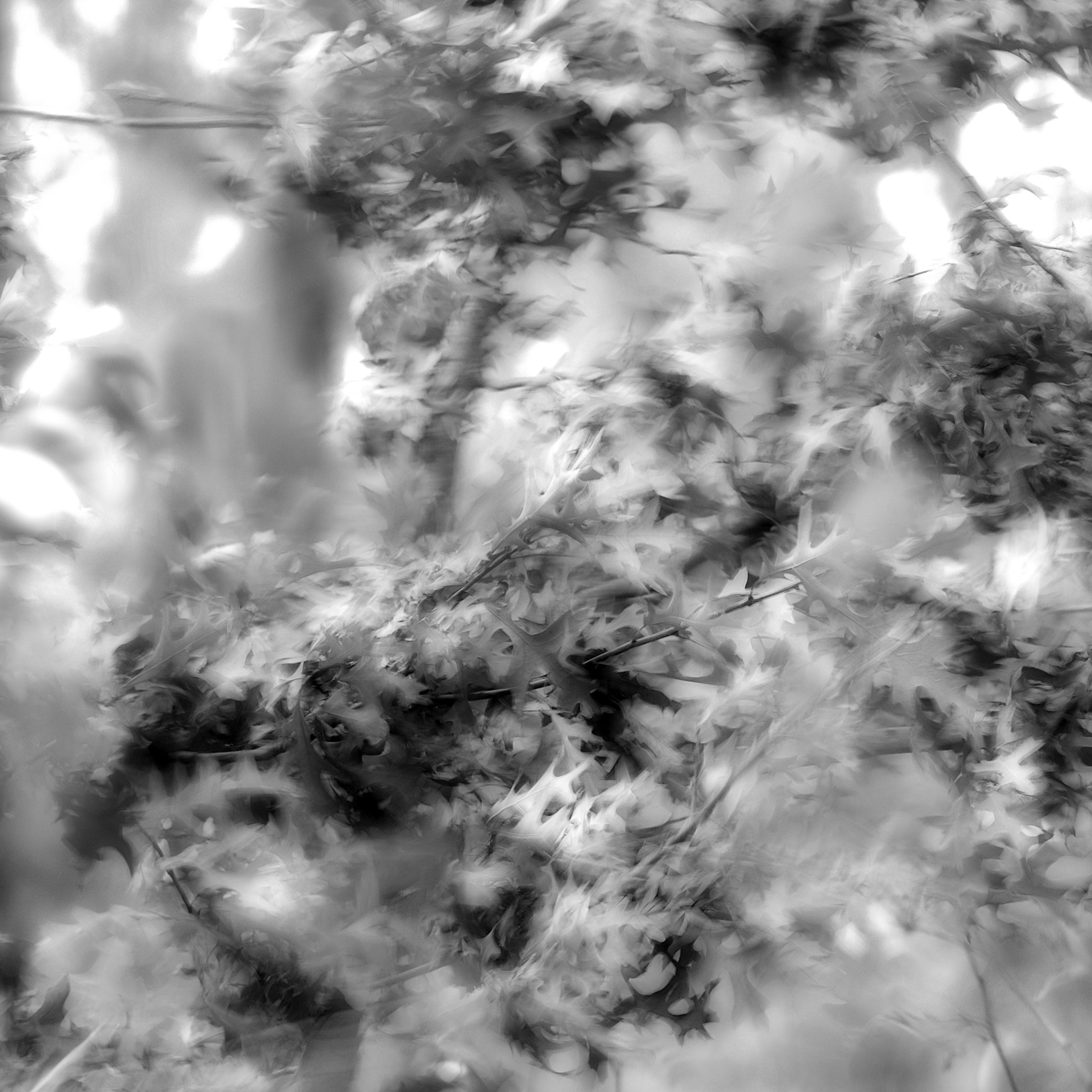 Nikon D300 sample photo. Zomaar photography
