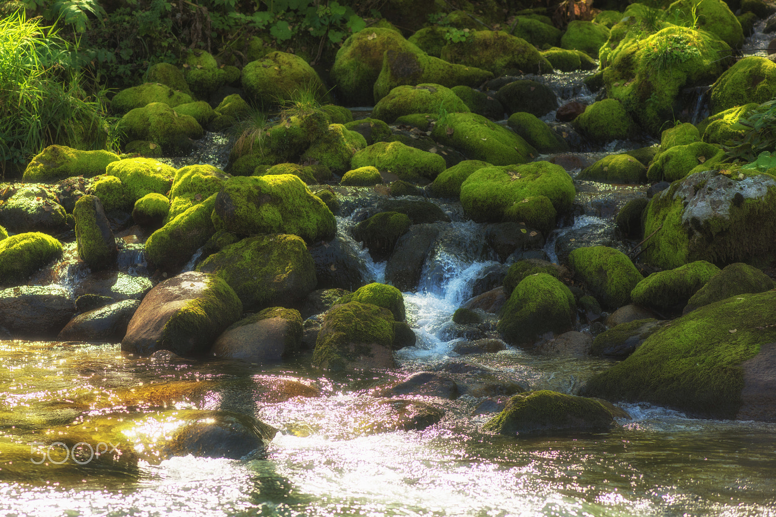 Nikon AF-Nikkor 80-200mm F2.8D ED sample photo. Fast mountain river in altay photography
