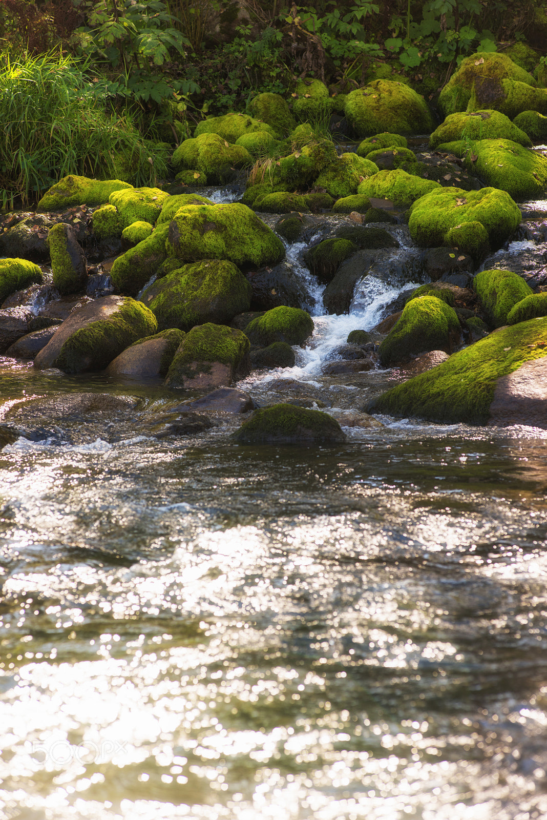 Nikon AF-Nikkor 80-200mm F2.8D ED sample photo. Fast mountain river in altay photography