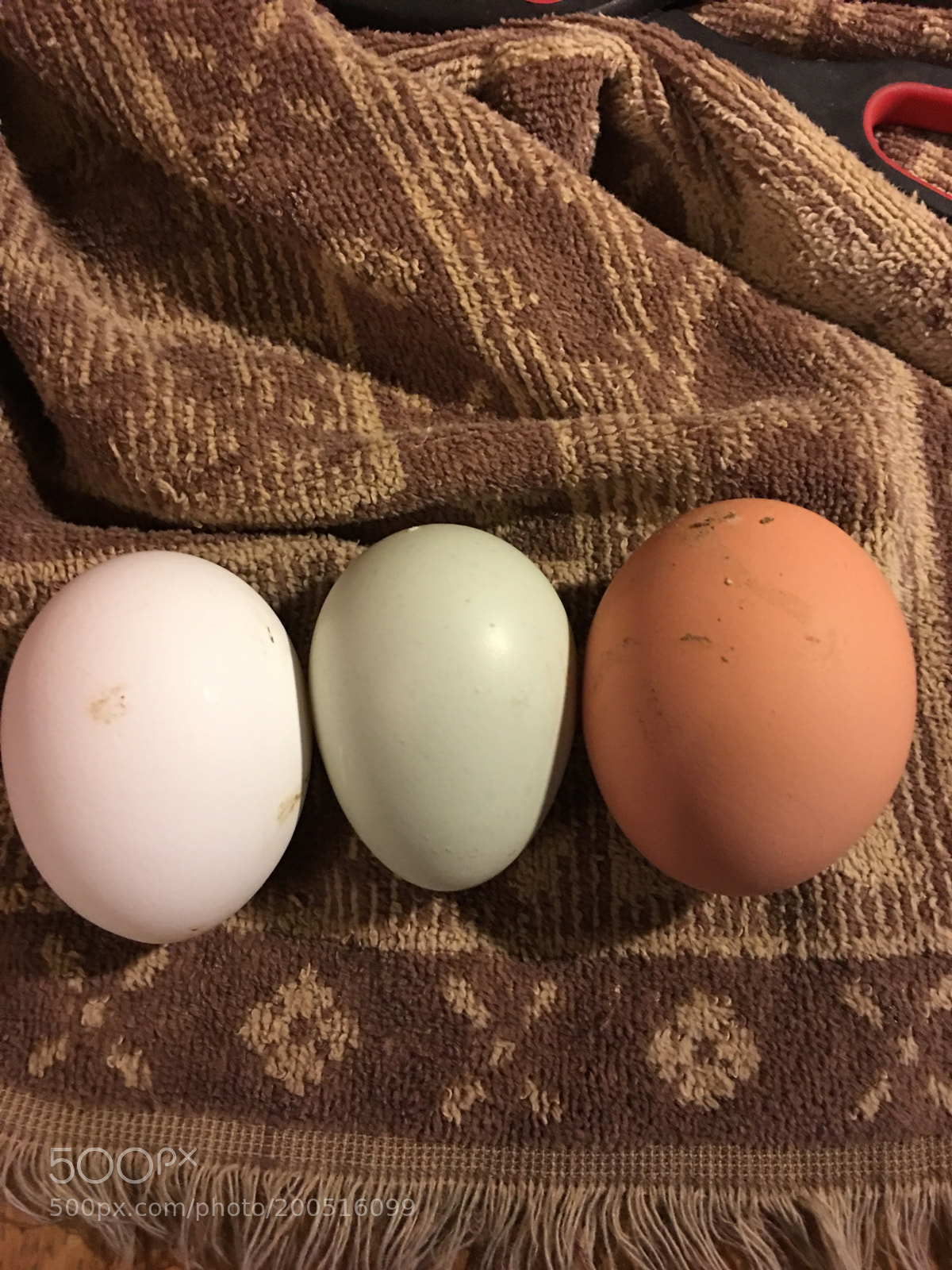 Apple iPhone 6s Plus sample photo. Img_1037.jpg photography