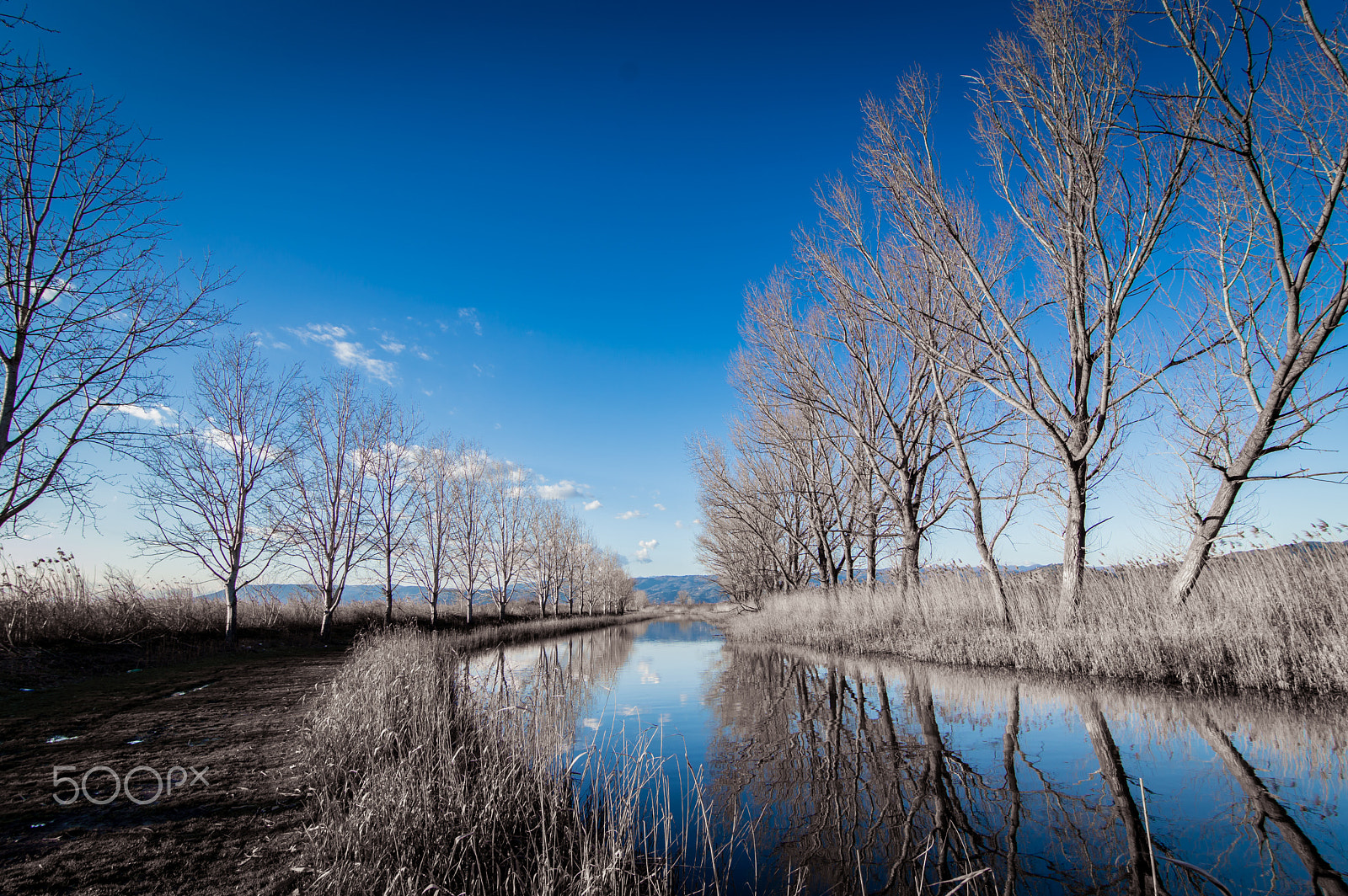 Nikon D3200 sample photo. Into the blue photography