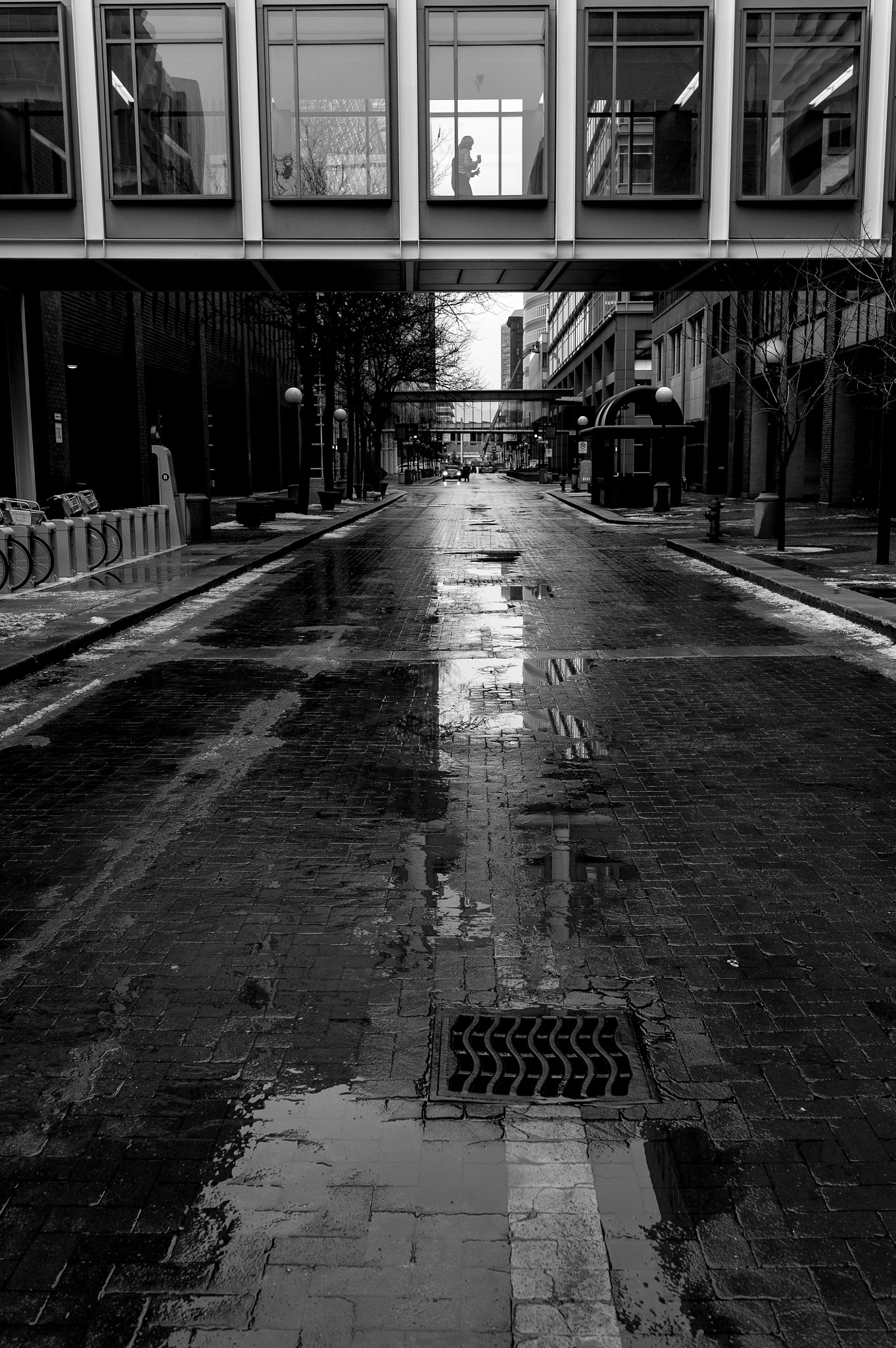 Nikon D700 + Sigma 35mm F1.4 DG HSM Art sample photo. Walking above the rain photography