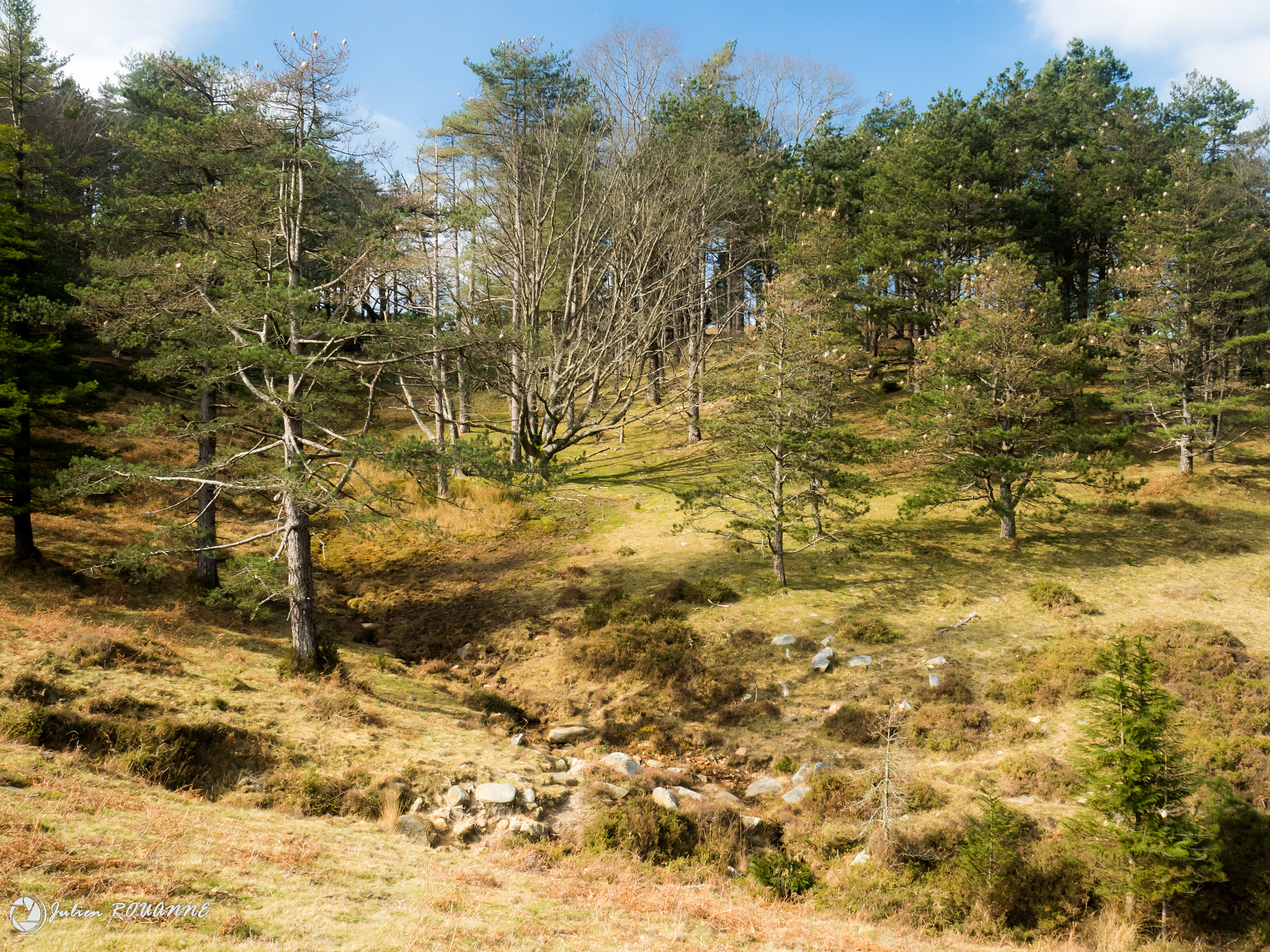 Olympus OM-D E-M5 II + Olympus M.Zuiko Digital 17mm F1.8 sample photo. La forêt dfe la rhune photography