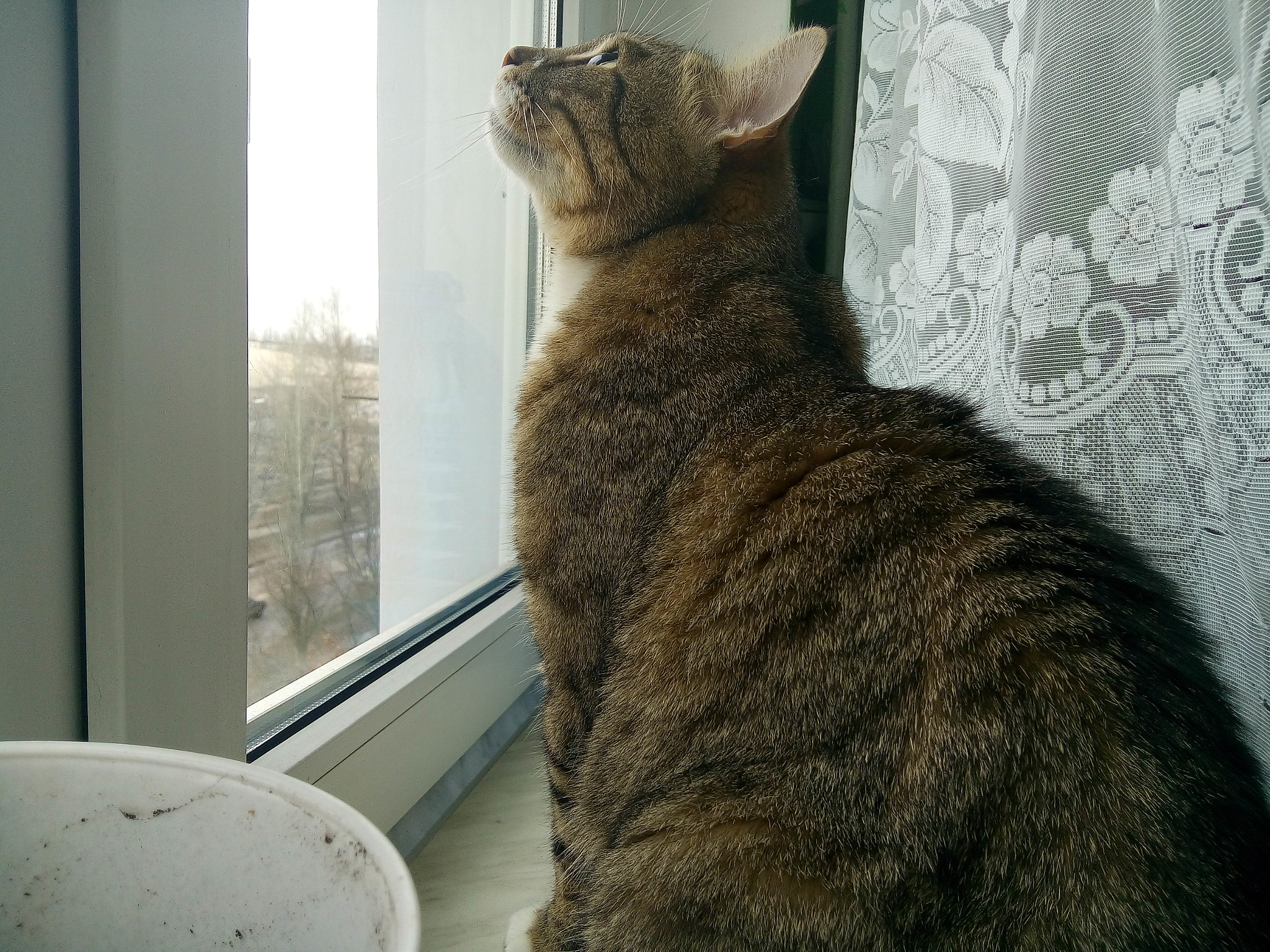 JIAYU S3 sample photo. Who is up there? photography