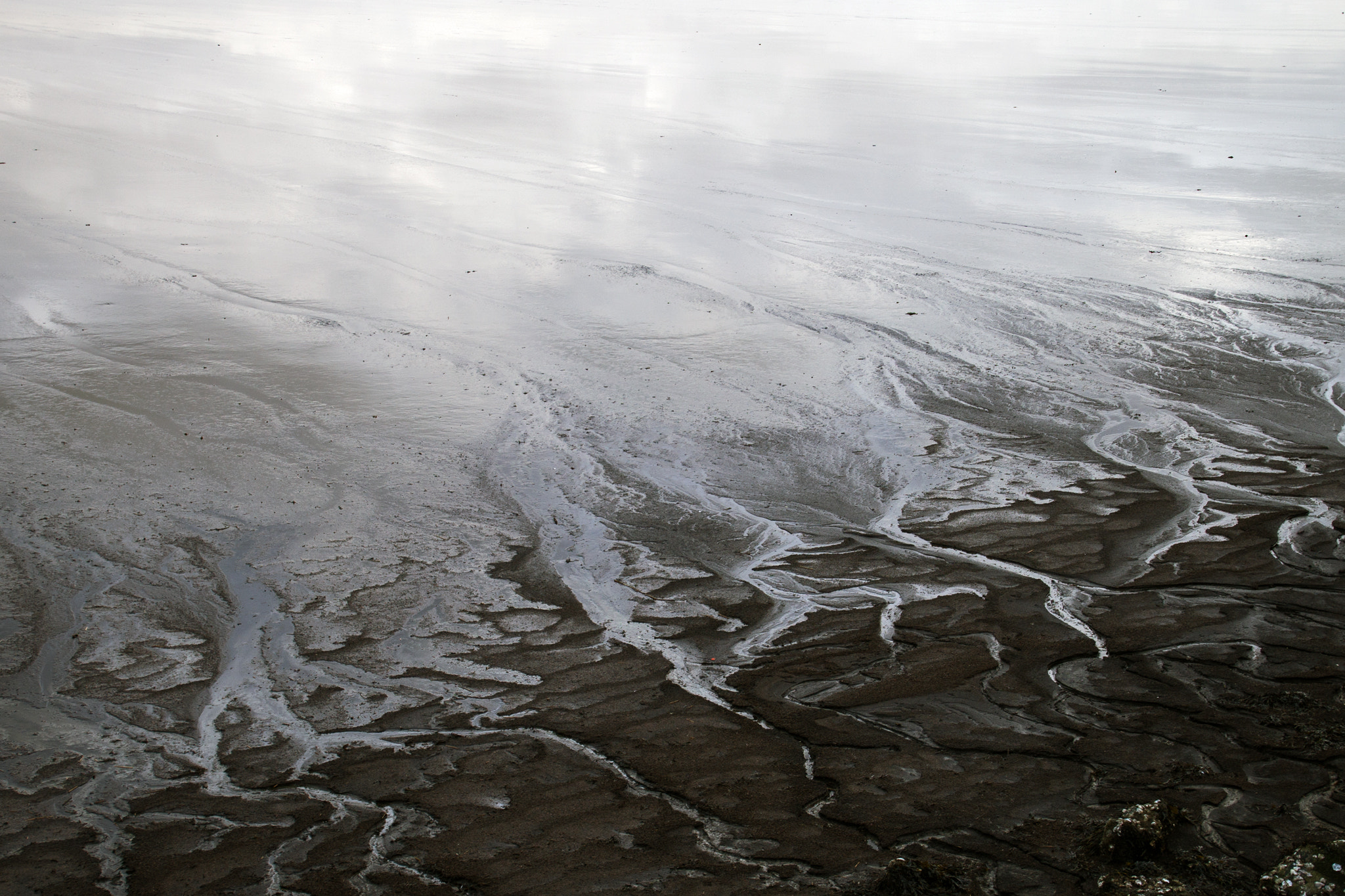 Tamron 16-300mm F3.5-6.3 Di II VC PZD Macro sample photo. Wadden art photography