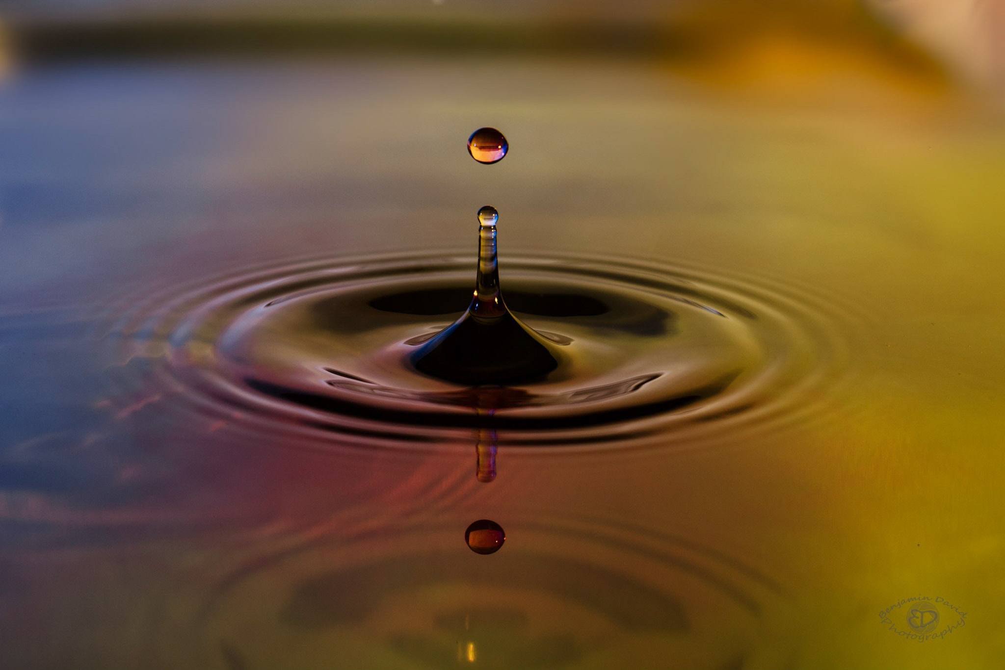 Sony FE 28-70mm F3.5-5.6 OSS sample photo. Just a drop of water photography