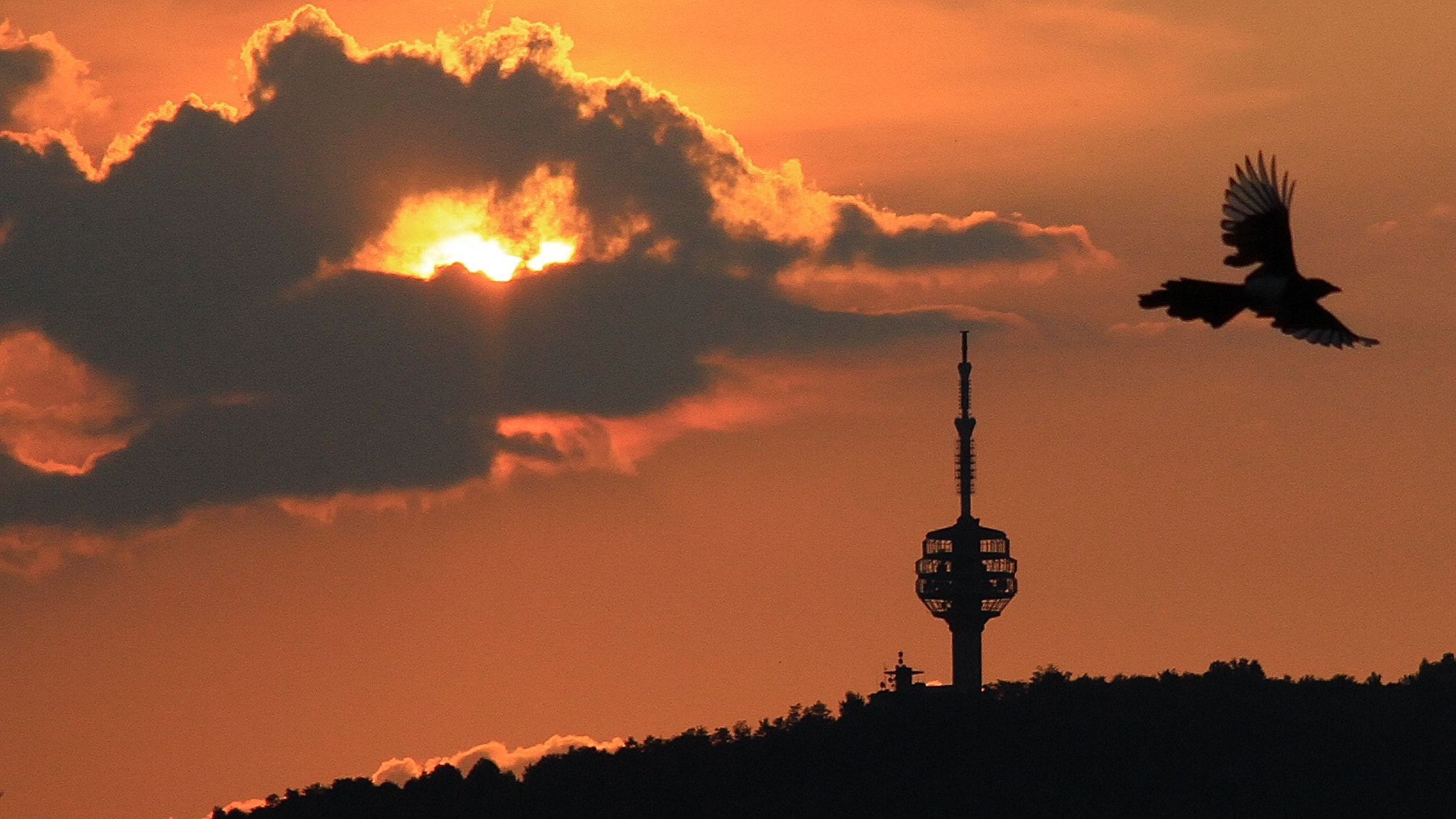 Canon EF-S 17-85mm F4-5.6 IS USM sample photo. Sarajevo photography