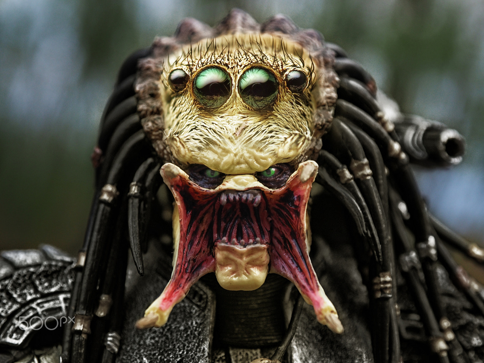 Olympus OM-D E-M10 sample photo. Spider predator :d photography