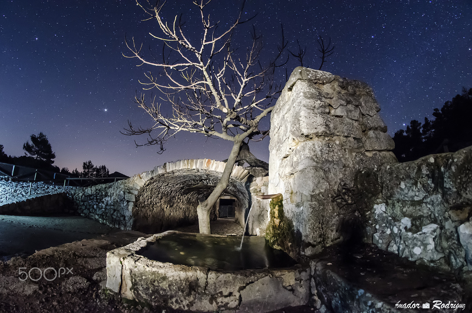 Nikon D7000 + Samyang 8mm F3.5 Aspherical IF MC Fisheye sample photo. Fuente photography