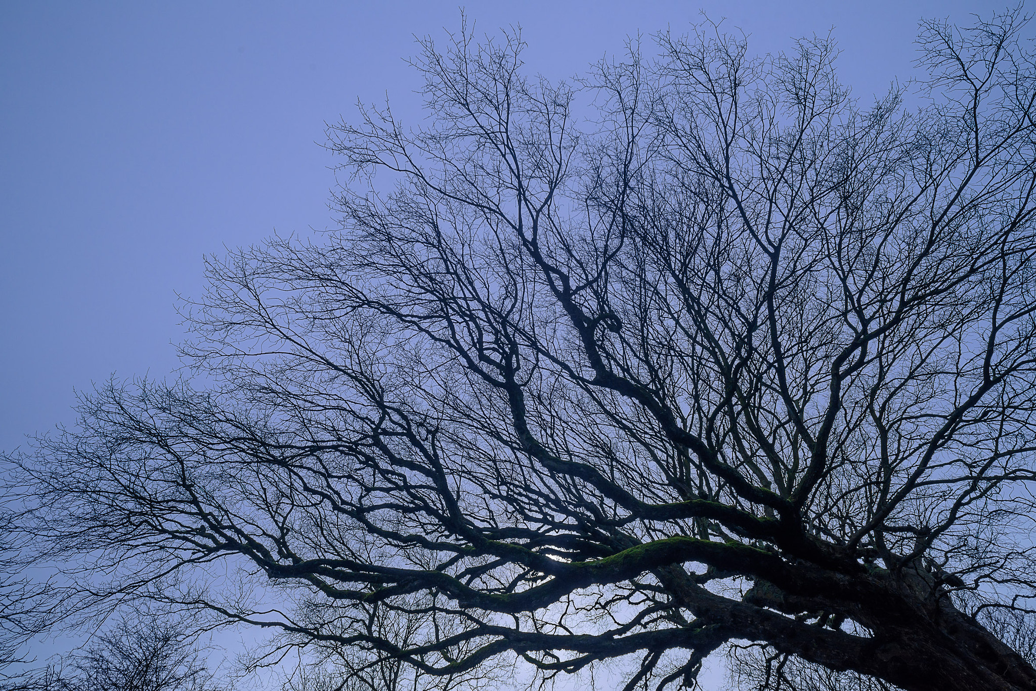 AF Nikkor 20mm f/2.8 sample photo. Wind-combed photography