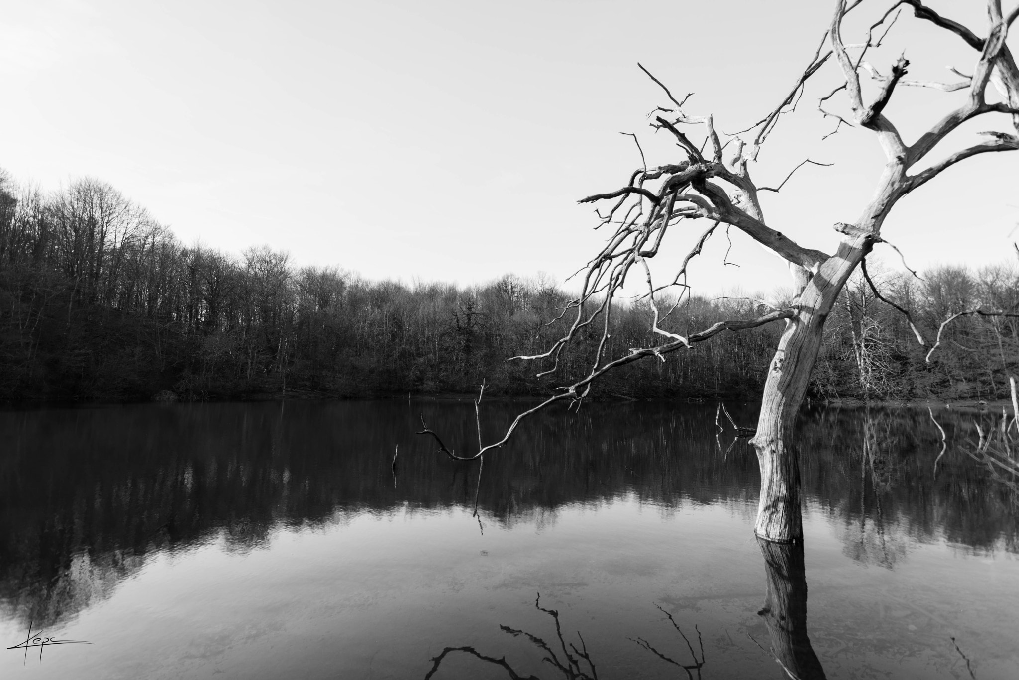 Nikon AF-S Nikkor 17-35mm F2.8D ED-IF sample photo. Black and white photography