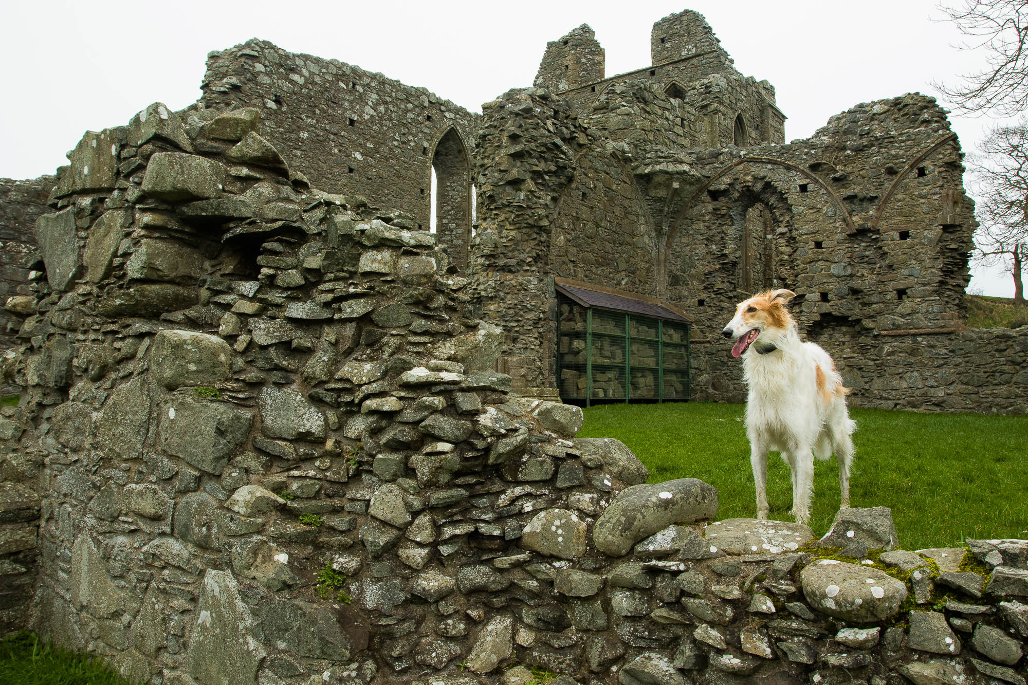 Canon EF 17-40mm F4L USM sample photo. Borisinchabbey photography