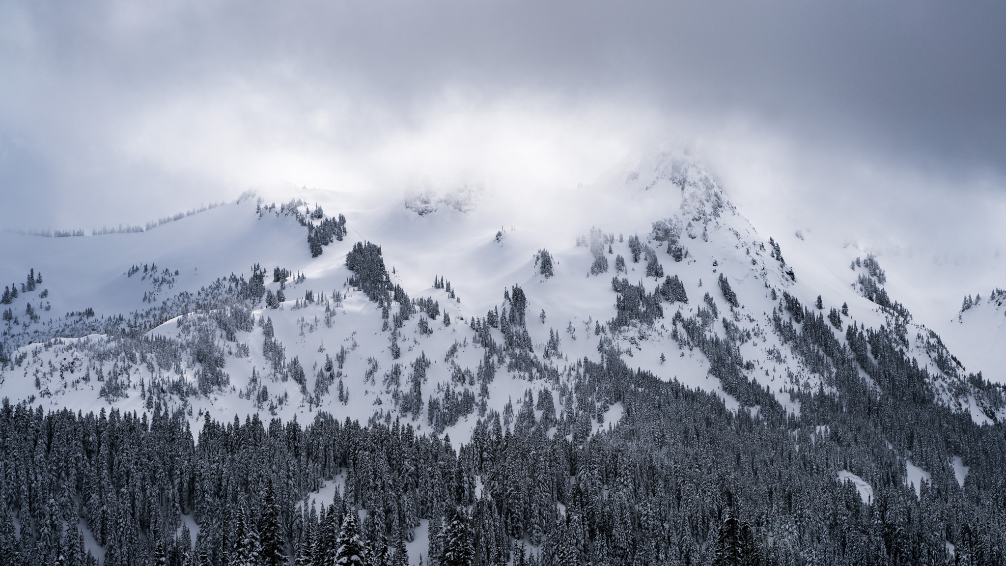 ZEISS Batis 85mm F1.8 sample photo. Mount rainier national park photography