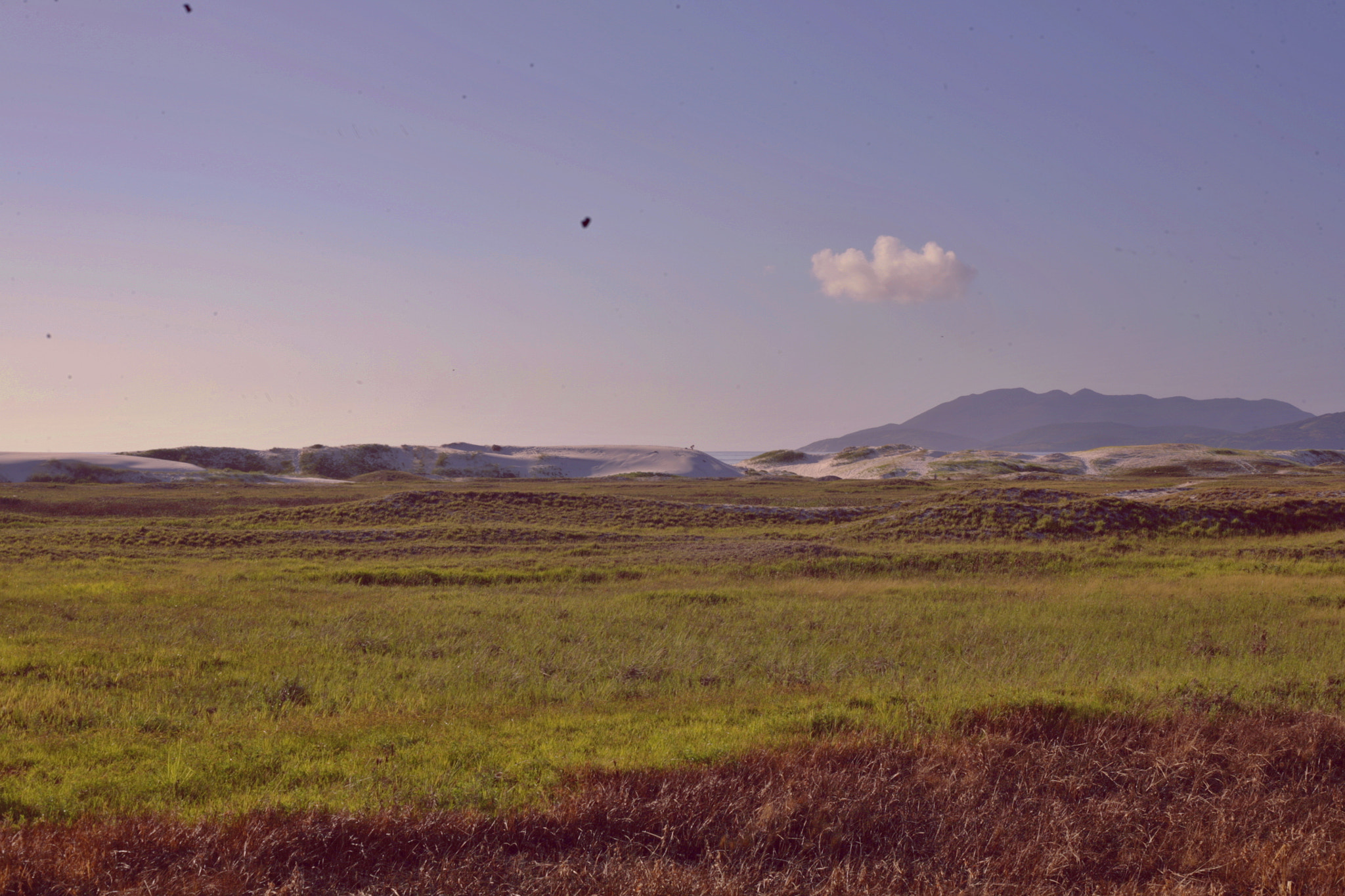 Canon EOS 5D sample photo. Dunas de cabo frio photography