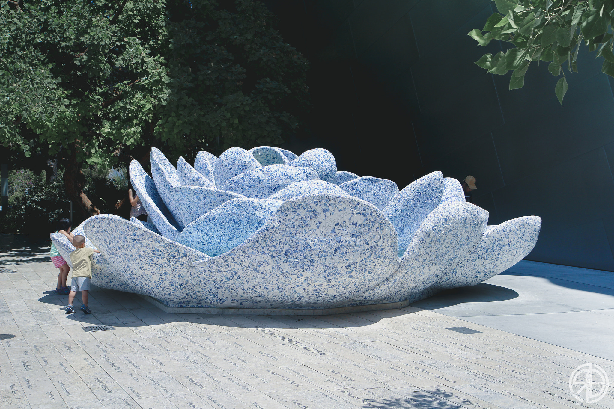 Canon EOS 100D (EOS Rebel SL1 / EOS Kiss X7) sample photo. Flower fountain photography
