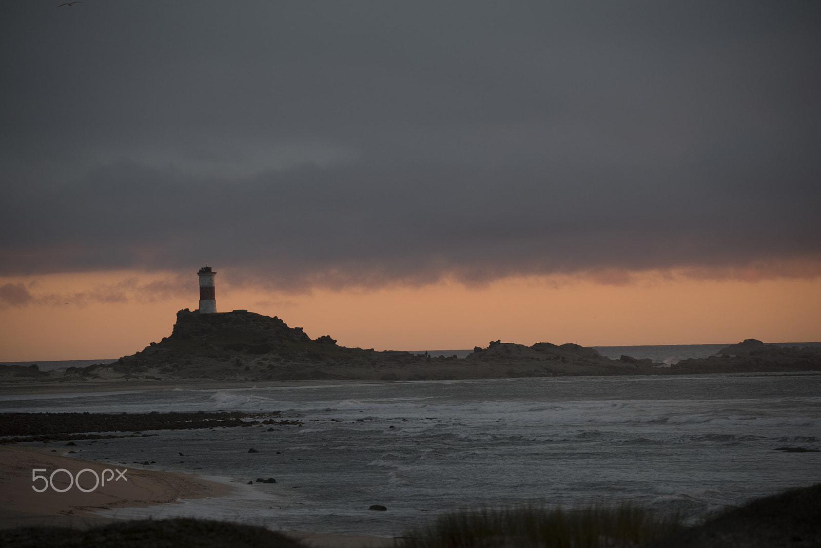 Sigma 150-600mm F5-6.3 DG OS HSM | C sample photo. Mocha island photography