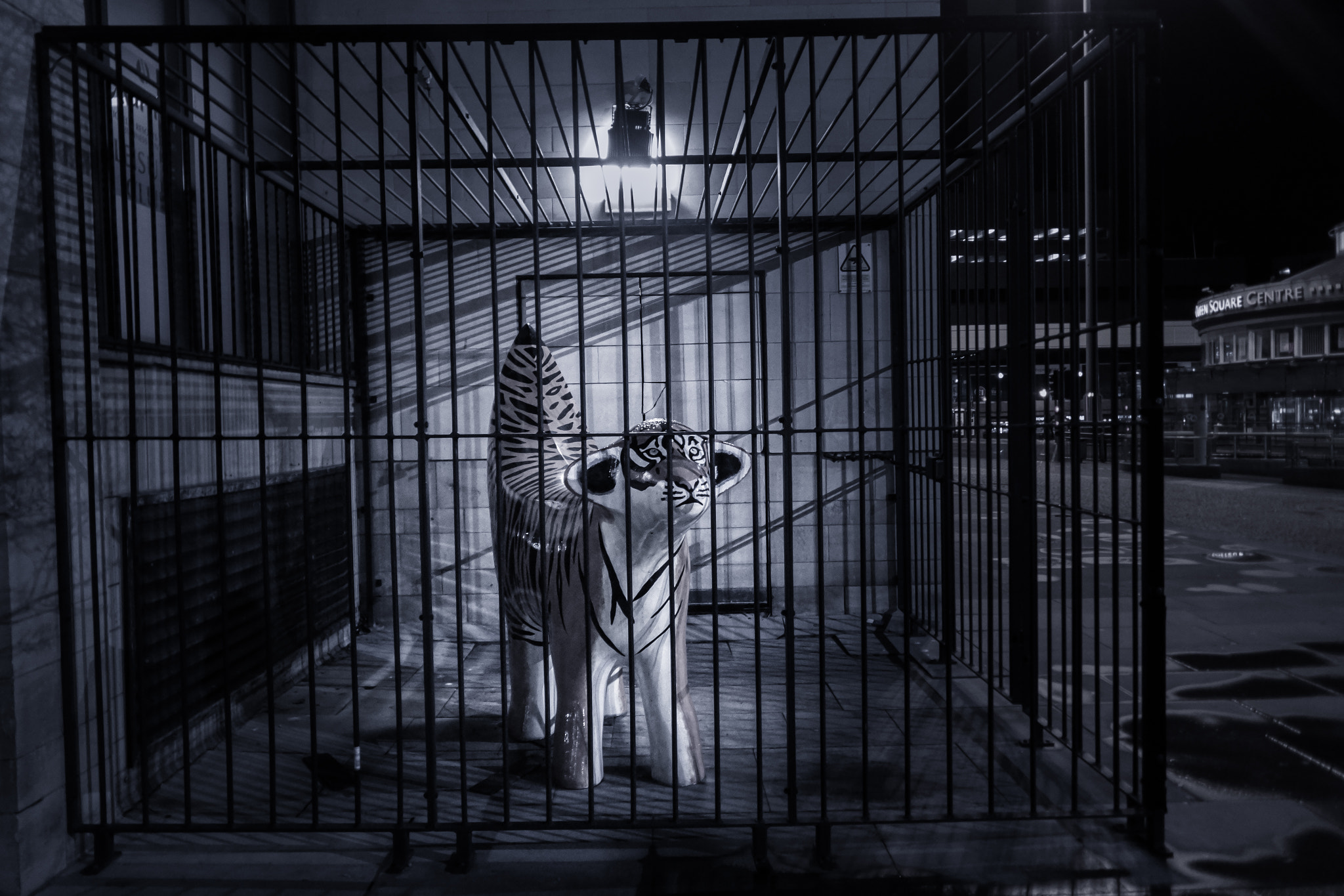 Samsung NX mini sample photo. Caged beast photography