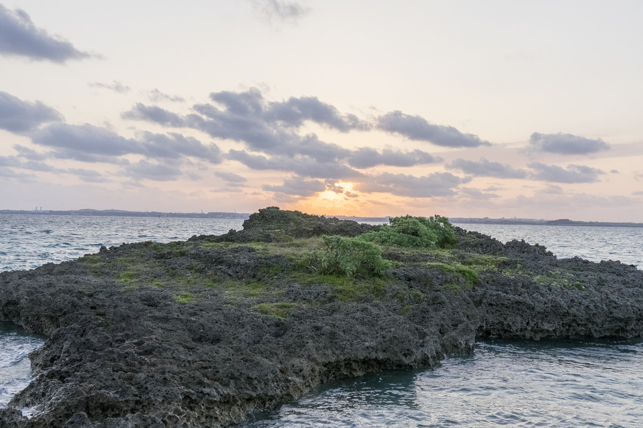 Sony a7 II + Sony FE 24-70mm F2.8 GM sample photo. Good morning photography