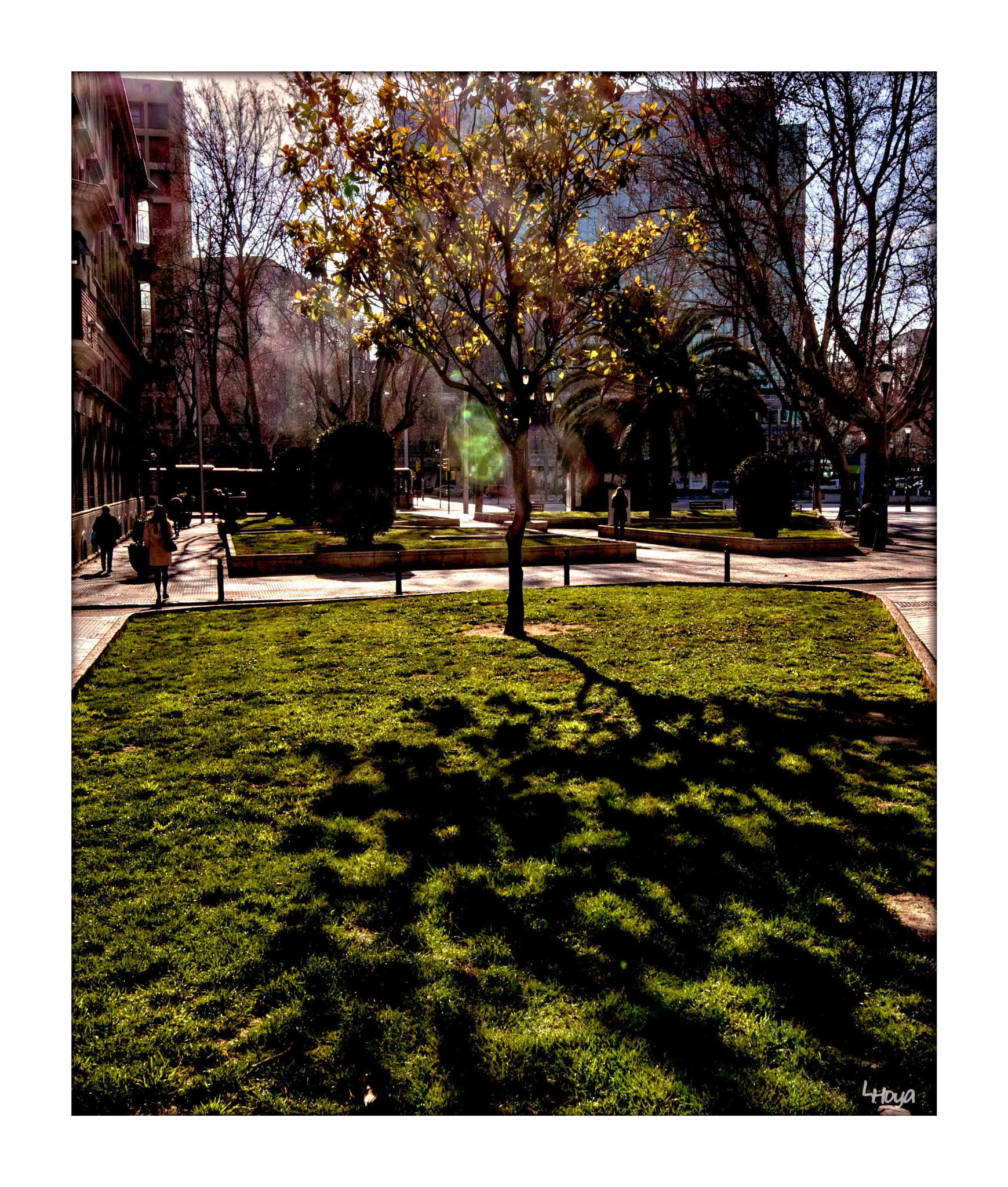 Sigma 10-20mm F4-5.6 EX DC HSM sample photo. Sombras p photography