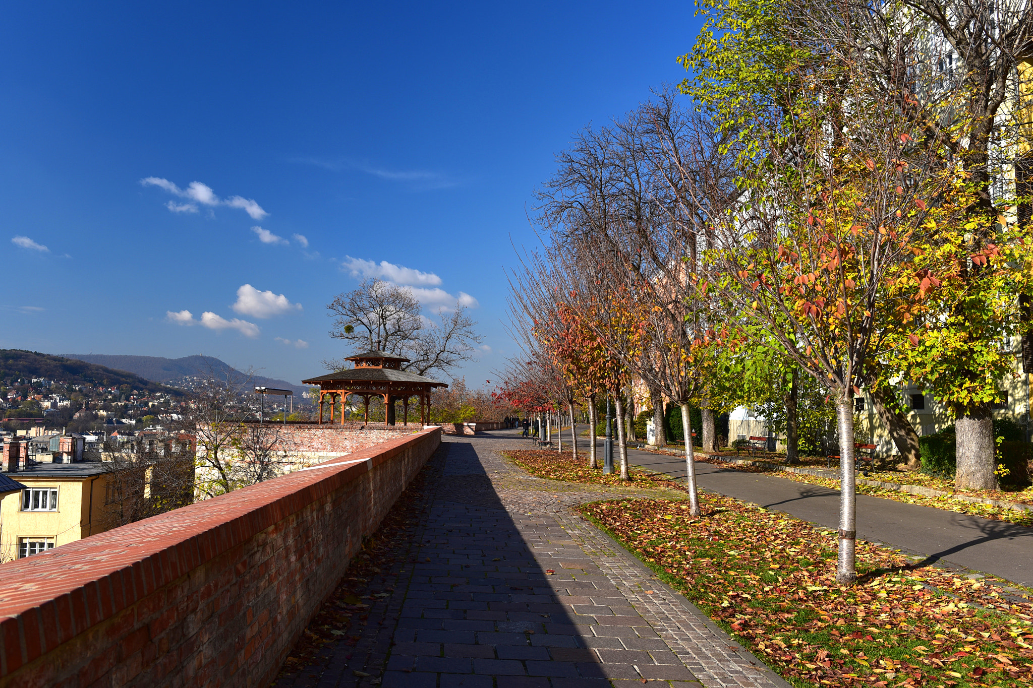 Nikon D750 + Nikon AF-S Nikkor 28mm F1.8G sample photo. Autumn sidewalk photography