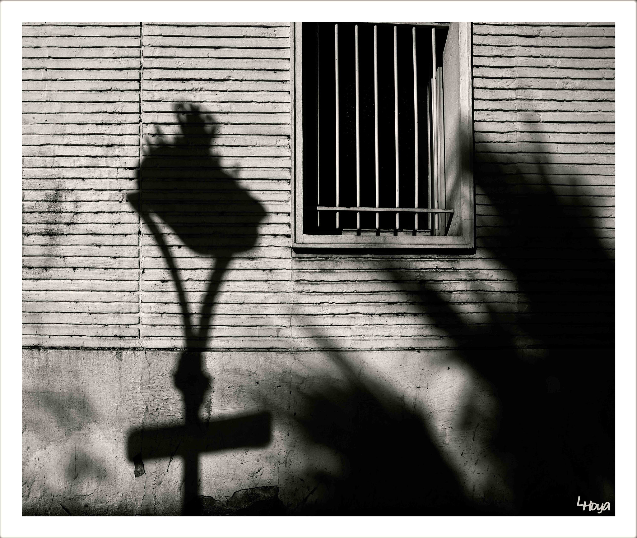 Nikon D610 + AF Nikkor 24mm f/2.8 sample photo. Sombras p photography