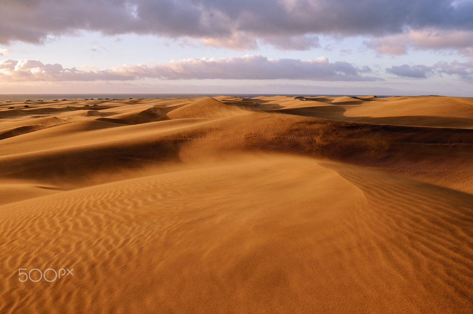 Nikon AF-S Nikkor 24-70mm F2.8E ED VR sample photo. Dunes of maspalomas, gran canaria photography