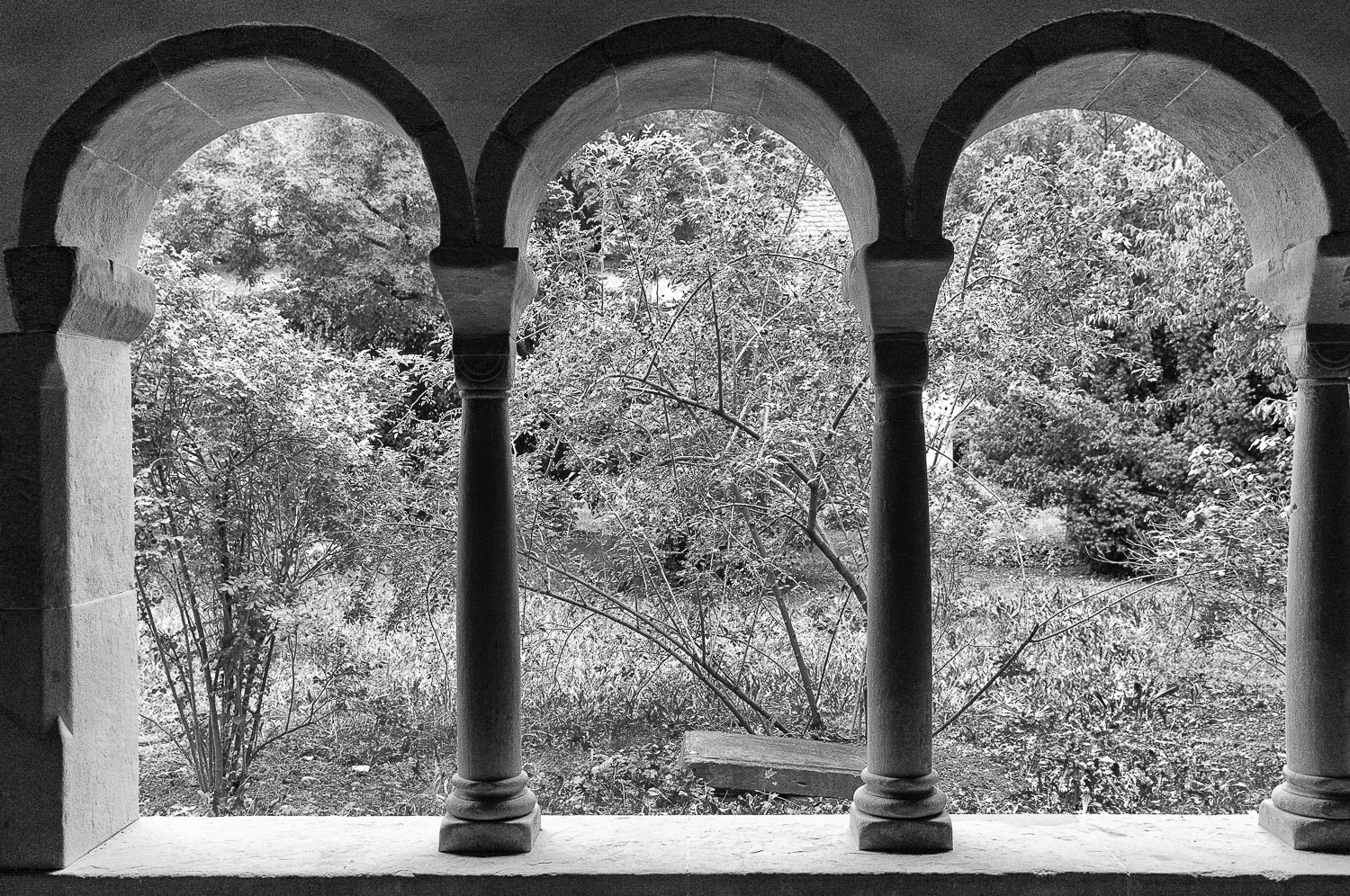 Sigma 17-50mm F2.8 EX DC OS HSM sample photo. Suisse garden photography