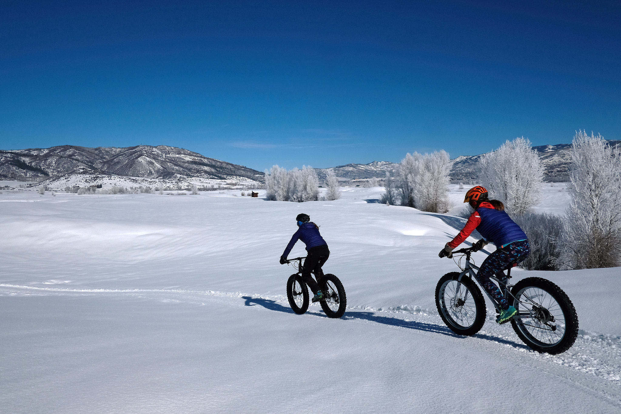 Fujifilm X-Pro2 + Fujifilm XF 18mm F2 R sample photo. Colorado winter photography