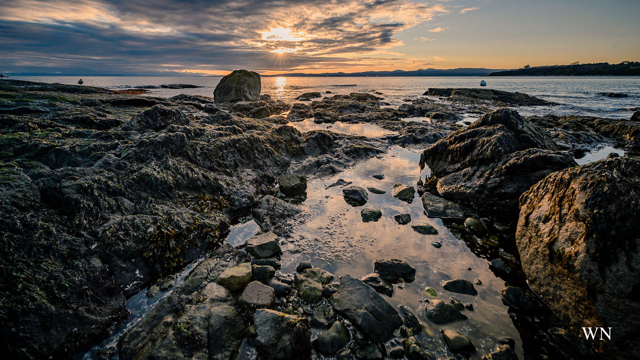 Nikon Df sample photo. After flooding. photography