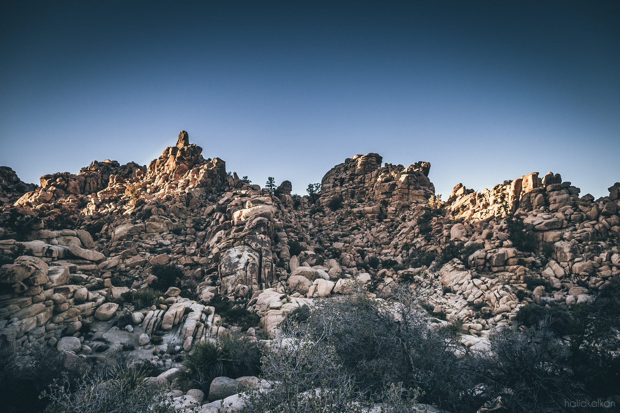 Canon EF 24mm F1.4L II USM sample photo. Roughness photography
