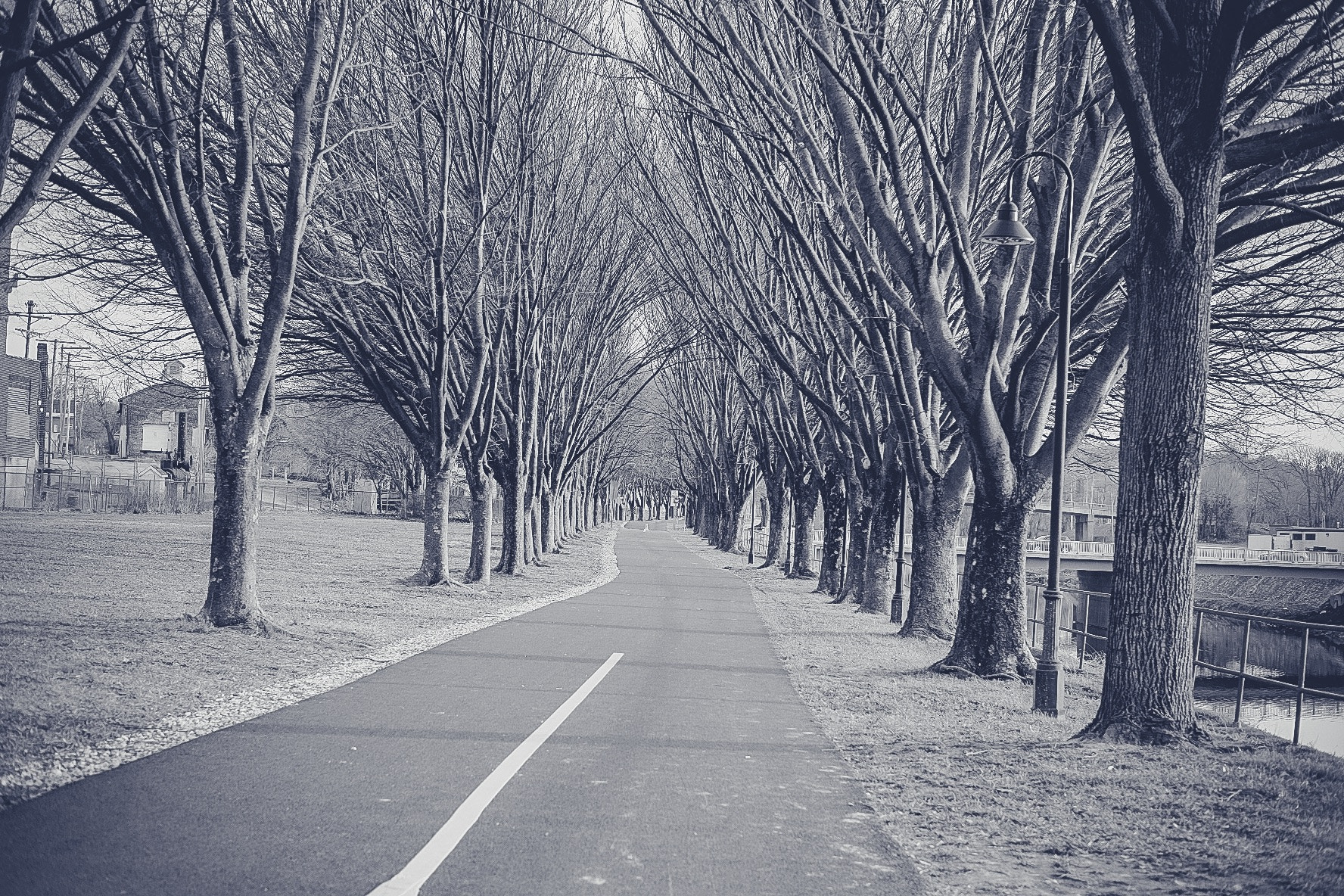 Fujifilm X-T10 + Fujifilm XF 35mm F2 R WR sample photo. The path less traveled photography