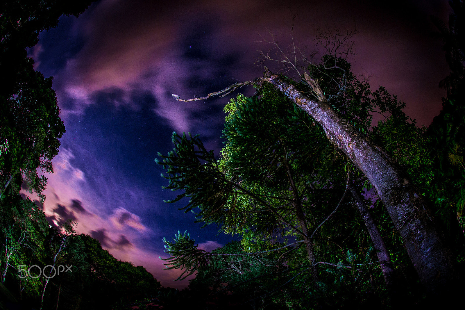 Nikon D800 + Nikon AF DX Fisheye-Nikkor 10.5mm F2.8G ED sample photo. Tropical night photography