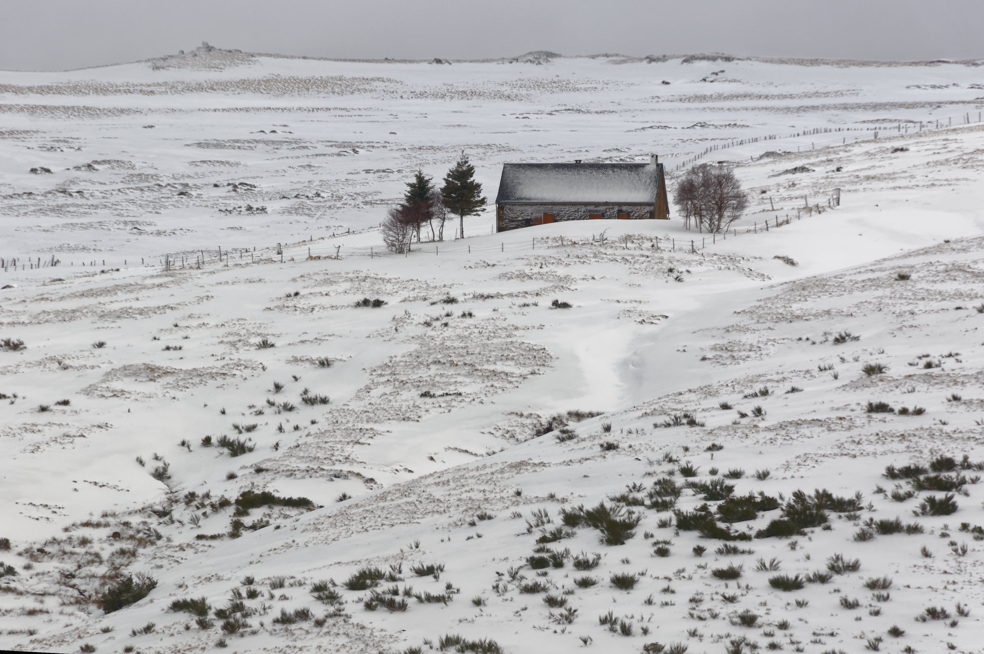 Nikon D300S sample photo. Un toit sous la neige photography
