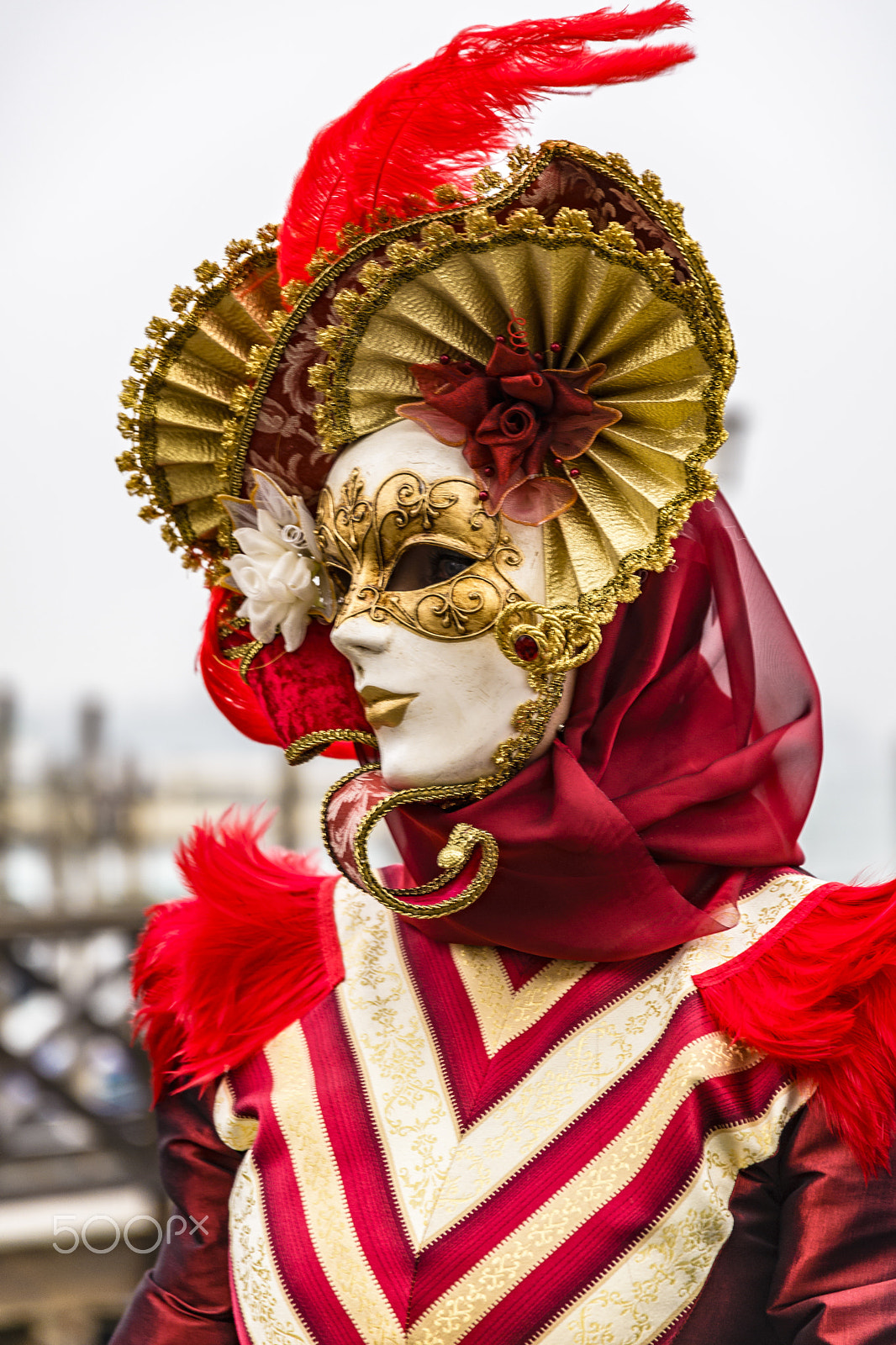 Nikon D610 sample photo. Venice carnival photography