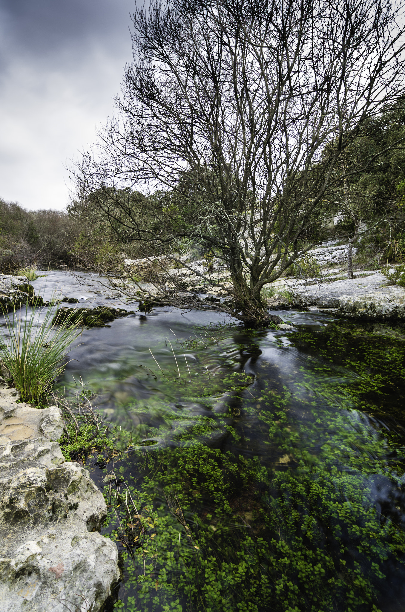 Pentax smc DA 12-24mm F4.0 ED AL (IF) sample photo. Source du lamalou (3) photography