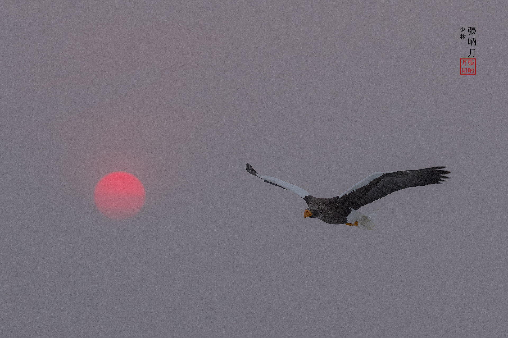 Nikon D5 sample photo. In the early dawn[morning]~~~ photography