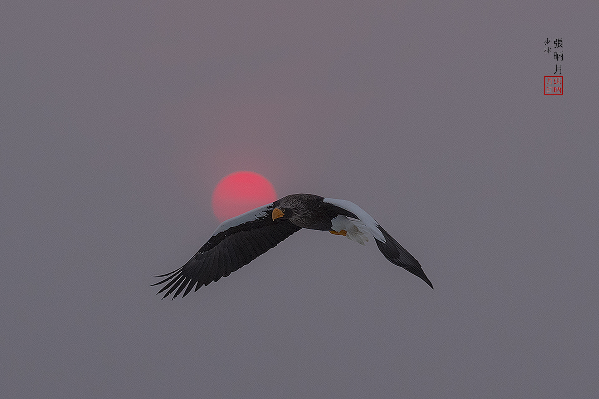 Nikon D5 sample photo. In the early dawn[morning]~~~ photography