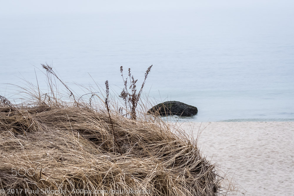 Nikon D500 sample photo. Fog on the water 1 photography