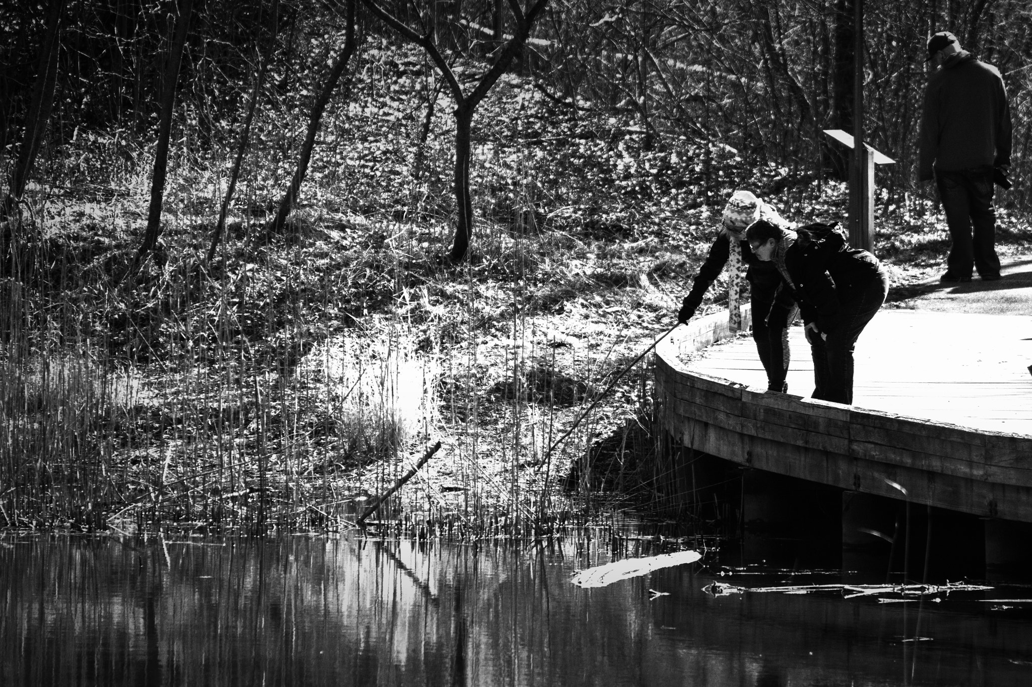 Nikon D500 + Nikon AF-S Nikkor 70-300mm F4.5-5.6G VR sample photo. Look in the pond. windsor, on. photography